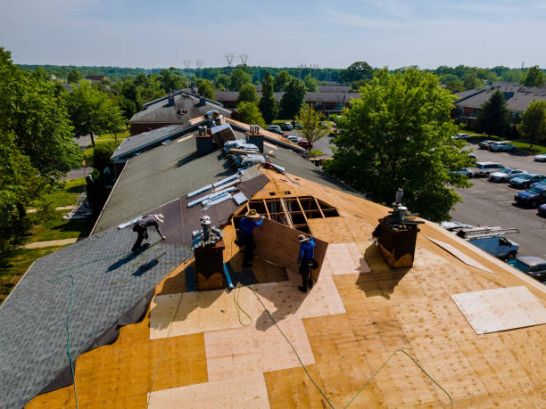 Quick and Trustworthy Emergency Roof Repair Services in North Shore, VA