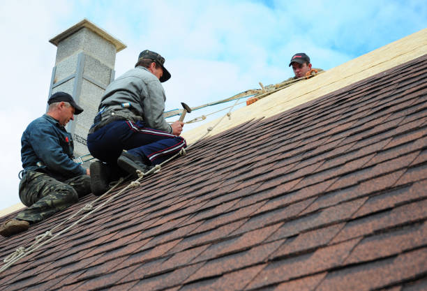Best Roofing Contractor Near Me  in North Shore, VA